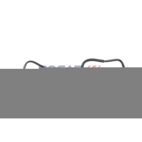 Compre Tubo flexível, respiro do cárter da cambota da BOGAP B1210149 a um preço baixo por 49,63 €