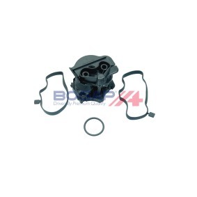 Acquista Separatore olio, Ventilazione monoblocco da BOGAP B1216101 a buon mercato per soli 13,29 €