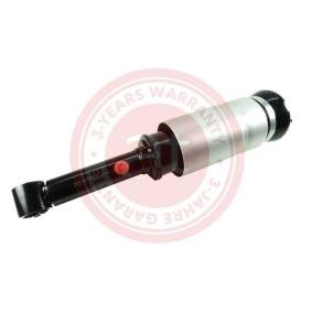 Compre Amortecedor pneumático da at autoteile germany at10232 a um preço baixo por 407,65 €