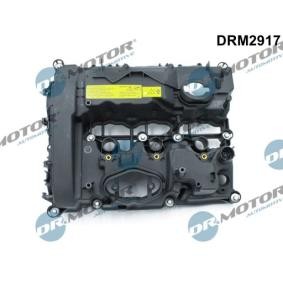 Köp Ventilkåpa av DR.MOTOR AUTOMOTIVE DRM2917 till det låga priset 1889,83 kr