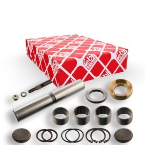 Acquista Kit riparazione, Perno fuso a snodo da FEBI BILSTEIN 08802 a buon mercato per soli 58,08 €