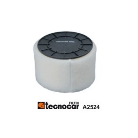 Köp Luftfilter av TECNOCAR A2524 till det låga priset 1045,35 kr