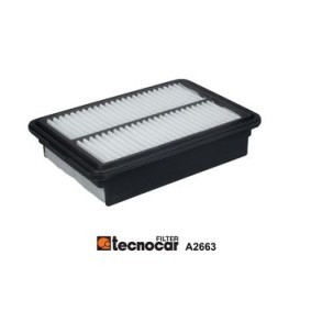 Comprar Filtro de aire de TECNOCAR A2663 a bajo precio de 59,55 €