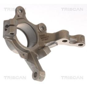 Compre Manga de eixo, suspensão da TRISCAN 8500 25702 a um preço baixo por 94,41 €