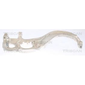 Comprar Mangueta de suspensión de TRISCAN 8500 29710 a bajo precio de 426,84 €