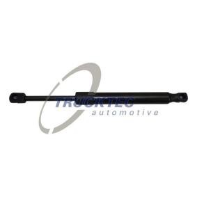 Acquista Pistoncini cofano da TRUCKTEC AUTOMOTIVE online per Classe S Coupe (C216) a prezzi moderati