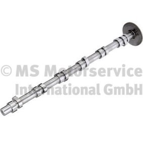 Comprar Árbol de levas de BF 20100911003 a bajo precio de 1063,22 €