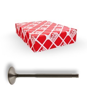 Einlaßventil 21032 von FEBI BILSTEIN günstig für 17,02 € online kaufen