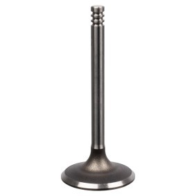 Einlaßventil 21040 von FEBI BILSTEIN günstig für 14,23 € online kaufen