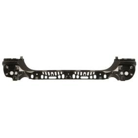 Comprar Soporte, parachoques de BLIC 5502-00-0067981P a bajo precio de 22,24 €