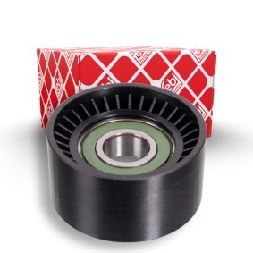 Achetez des Poulie renvoi / transmission, courroie trapézoïdale à nervures de chez FEBI BILSTEIN en ligne pour Duster (HM) à prix modérés
