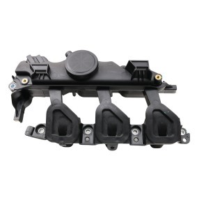 Comprar Módulo colector de admisión de FAST FT50410 a bajo precio de 73,12 €