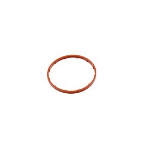Acquista Guarnizione, Pompa depressione da FAST FT50701 a buon mercato per soli 4,23 €