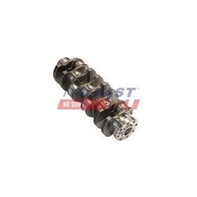 Kurbelwelle FT51701 von FAST günstig für 350,17 € online kaufen