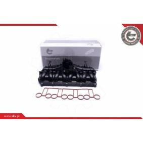 Compre Módulo do colector de admissão da ESEN SKV 49SKV066 a um preço baixo por 189,88 €