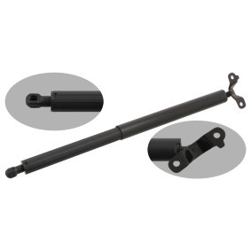 Heckklappendämpfer 29334 von FEBI BILSTEIN günstig für 87,57 € online kaufen