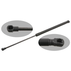 Köp Gasfjäder, motorhuv av FEBI BILSTEIN 29438 till det låga priset 330,42 kr