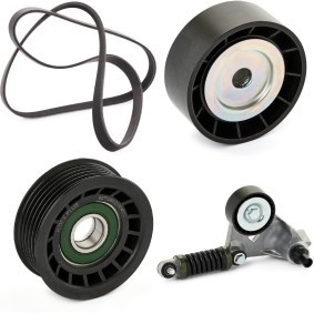 Comprar Juego de correas trapeciales poli V de RIDEX PLUS 542R0024P a bajo precio de 140,37 €