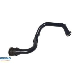 Comprar Tubo flexible de aire de sobrealimentación de BUGIAD 82313 a bajo precio de 108,18 €