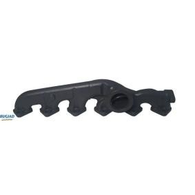 Compre Colector, sistema de escape da BUGIAD BSP25507 a um preço baixo por 252,46 €