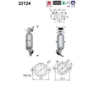 Katalysator 22124 von AS günstig für 395,42 € online kaufen
