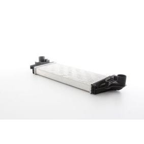 Osta Välijäähdytin BSG:llä BSG 60-535-028 edullisesti hintaan 294,49 €