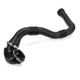 Compre Tubo flexível do ar de sobrealimentação da BSG BSG 65-700-615 a um preço baixo por 179,18 €