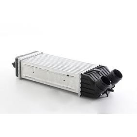 Compre Intercooler da BSG BSG 70-535-010 a um preço baixo por 158,62 €