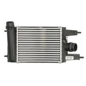 Acquista Intercooler da THERMOTEC DA1014TT a buon mercato per soli 108,55 €