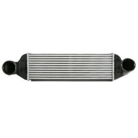 Acquista Intercooler da THERMOTEC DAB026TT a buon mercato per soli 100,10 €