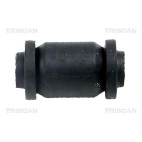 Compre Suspensão, braço oscilante da TRISCAN 8500 13801 a um preço baixo por 13,67 €