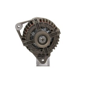 Kjøp Dynamo av BV PSH 485.501.120.280 til den lave prisen 6155,49 NOK