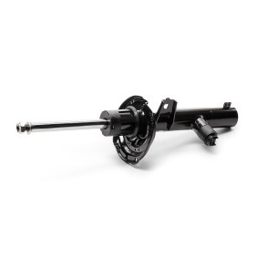 Stoßdämpfer C2516S von MONROE günstig für 142,13 € online kaufen