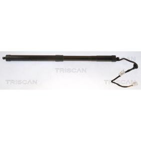 Heckklappendämpfer 8710 13301 von TRISCAN günstig für 276,88 € online kaufen