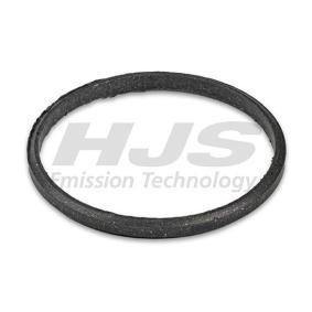 Dichtring, Abgasrohr 83 13 2870 von HJS günstig für 10,26 € online kaufen