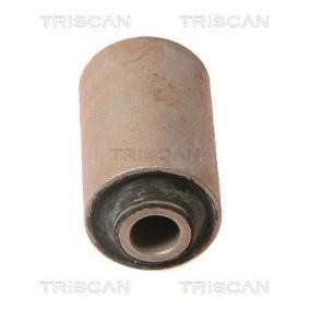 Compre Suspensão, braço oscilante da TRISCAN 8500 68800 a um preço baixo por 23,49 €