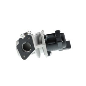 Compre Válvula EGR da AISIN EGRAZ-7005 a um preço baixo por 152,73 €