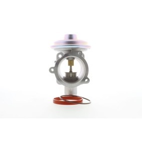 Compre Válvula EGR da AISIN EGRAZ-7051 a um preço baixo por 101,61 €