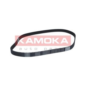 Compre Correia de distribuição de KAMOKA online para Speedster (E01) a preços moderados