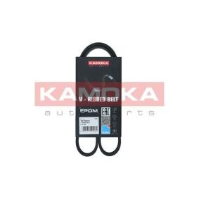 Acquista Cinghia servizi da KAMOKA online per Outback (BR) a prezzi moderati