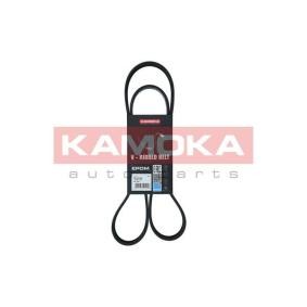 Achetez des Courroie Poly-V KAMOKA 7016102 à prix pour 15,19 €