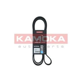 Comprar Correa trapecial poli V de KAMOKA 7016173 a bajo precio de 17,10 €