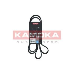 Keilrippenriemen 7016191 von KAMOKA günstig für 19,20 € online kaufen
