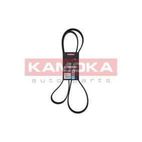 Comprar Correa trapecial poli V de KAMOKA 7017032 a bajo precio de 15,12 €
