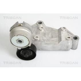 Spannarm, Keilrippenriemen 8641 163009 von TRISCAN günstig für 146,31 € online kaufen