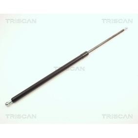 Heckklappendämpfer 8710 11215 von TRISCAN günstig für 30,67 € online kaufen