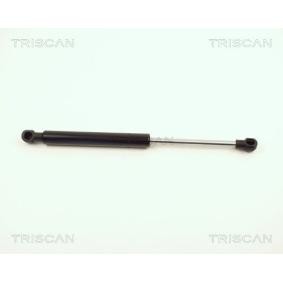 Heckklappendämpfer 8710 12208 von TRISCAN günstig für 53,43 € online kaufen