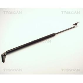 Heckklappendämpfer 8710 13244 von TRISCAN günstig für 21,84 € online kaufen