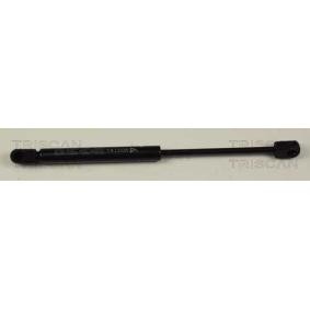 Heckklappendämpfer 8710 14227 von TRISCAN günstig für 57,38 € online kaufen