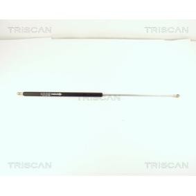 Heckklappendämpfer 8710 15210 von TRISCAN günstig für 38,66 € online kaufen